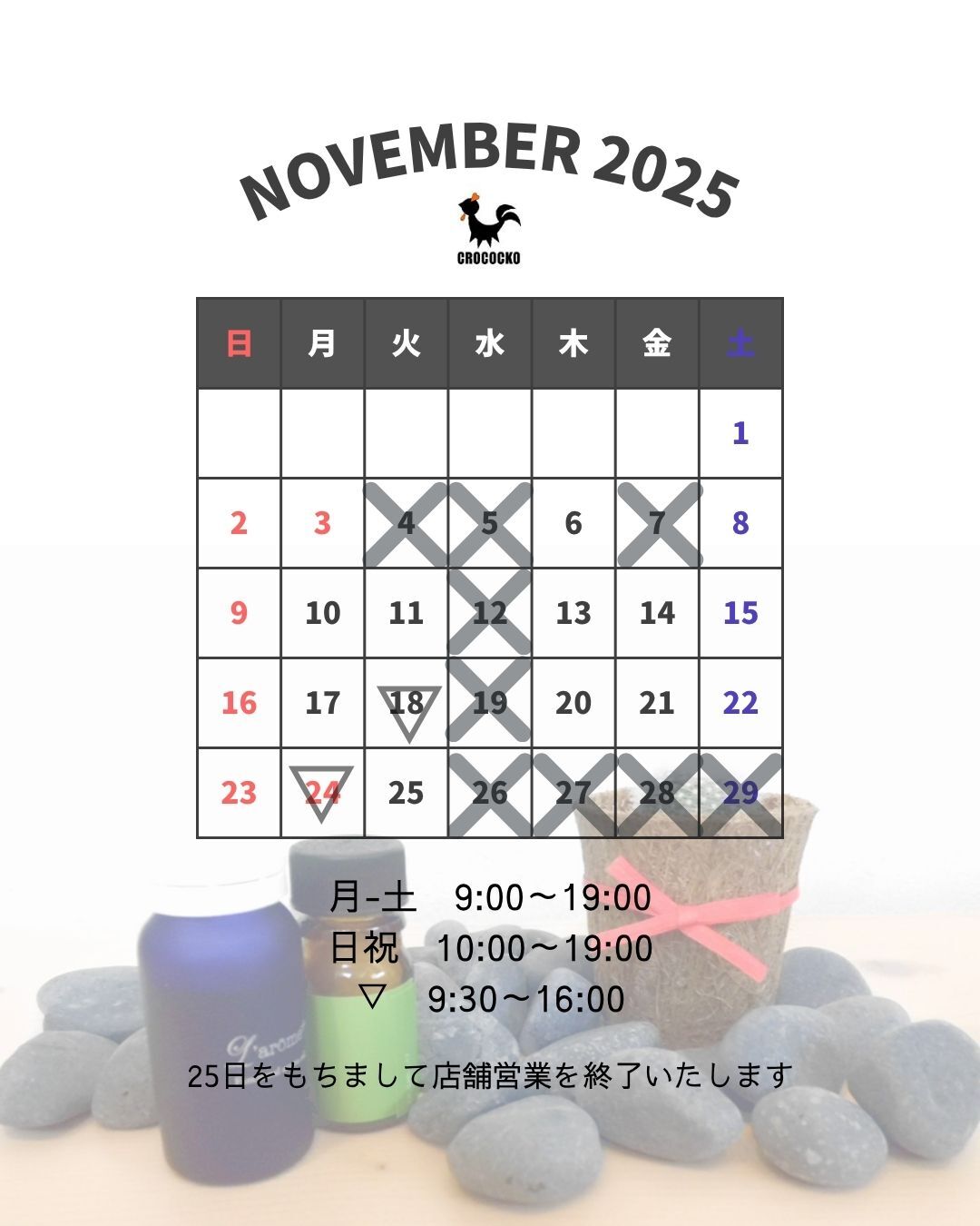 今月の予定 今月の予定